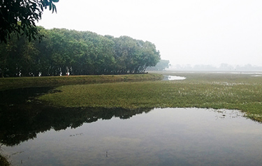 Lukha River decontamination