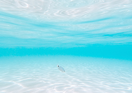 Awesome Image